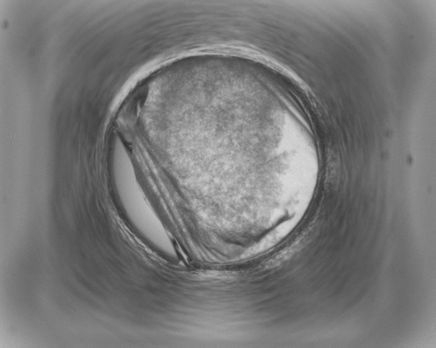 X0000085751506200704131657