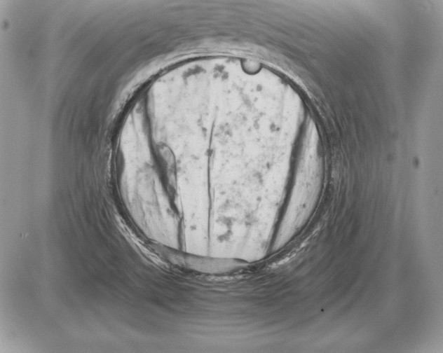 X0000085751507200704131657