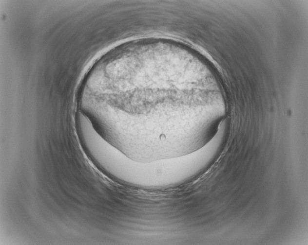 X0000085751508200704131657