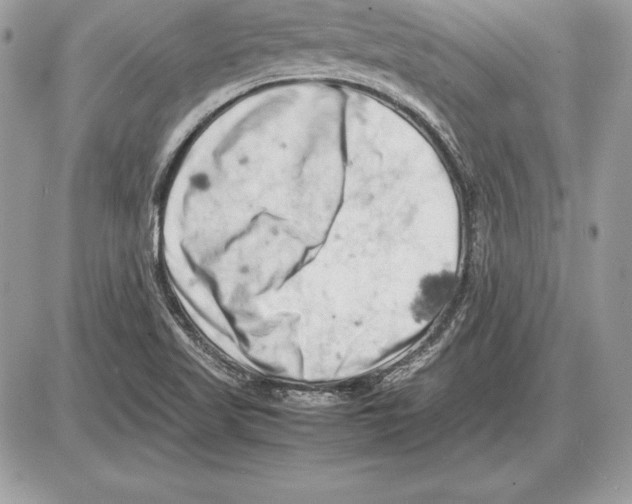 X0000085751509200704131657