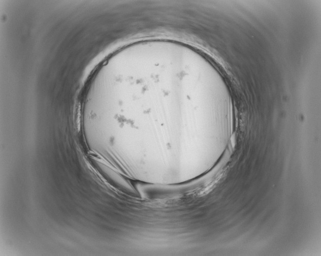 X0000085751510200704131657