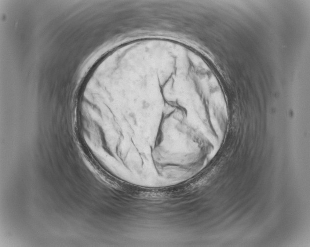 X0000085751511200704131657