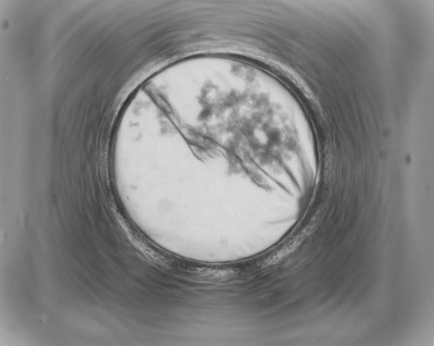 X0000085751513200704131657