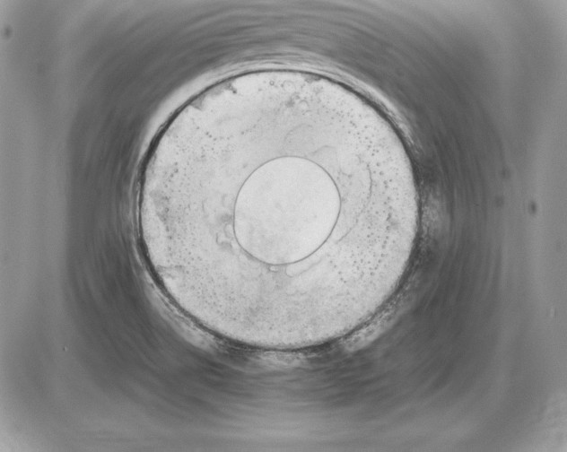 X0000085751514200704131657