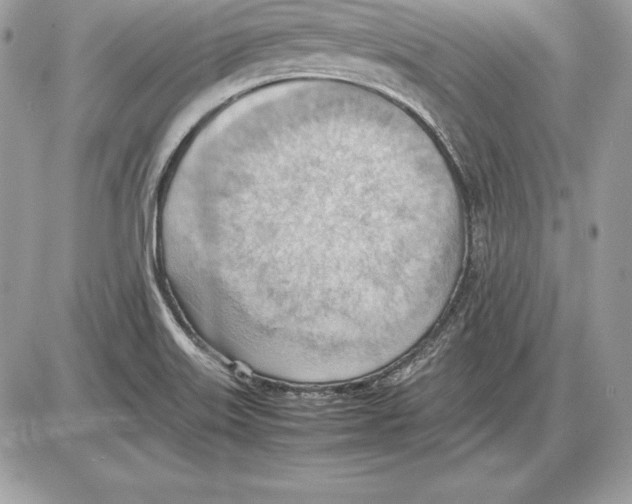 X0000085751515200704131657