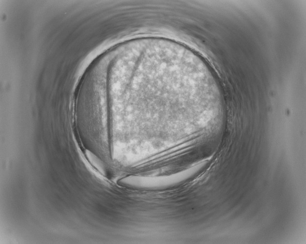 X0000085751519200704131657