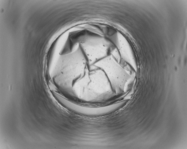 X0000085751520200704131657