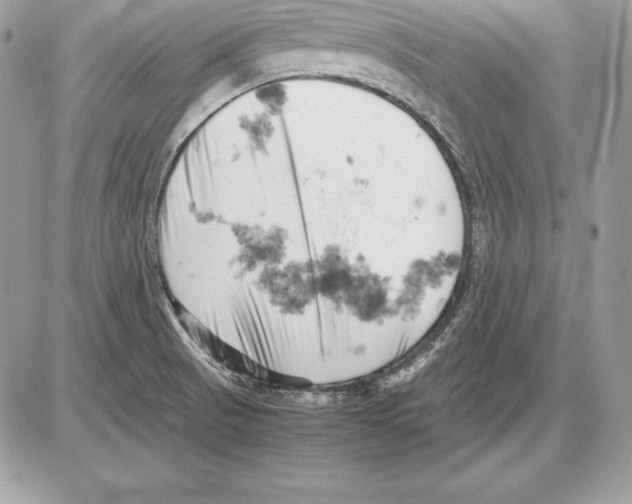 X0000085751521200704131657