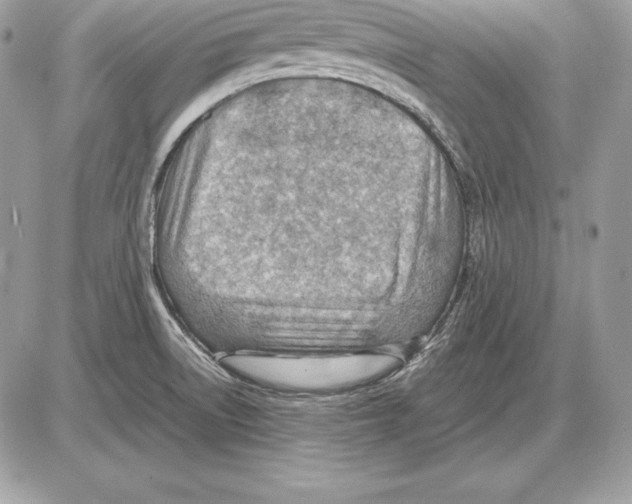 X0000085751522200704131657