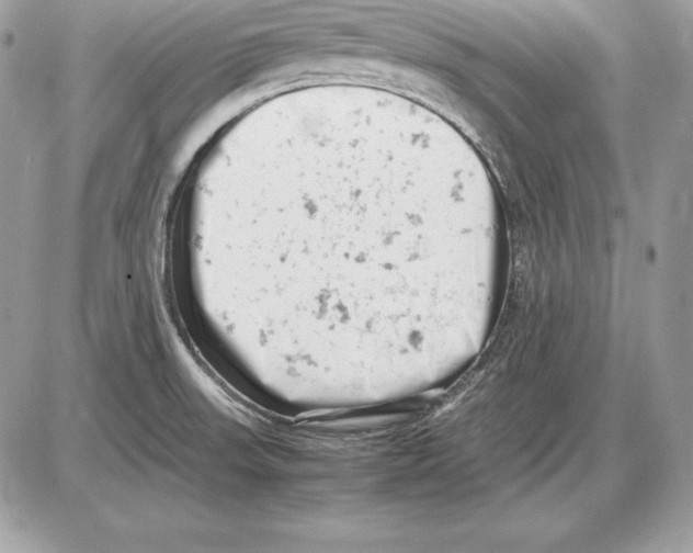 X0000085751523200704131657