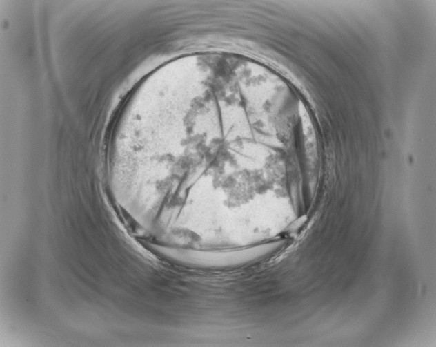 X0000085751525200704131657