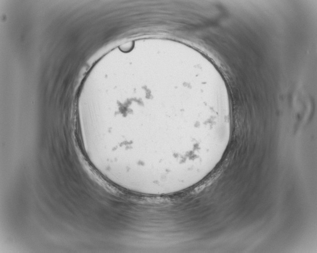 X0000085751526200704131657