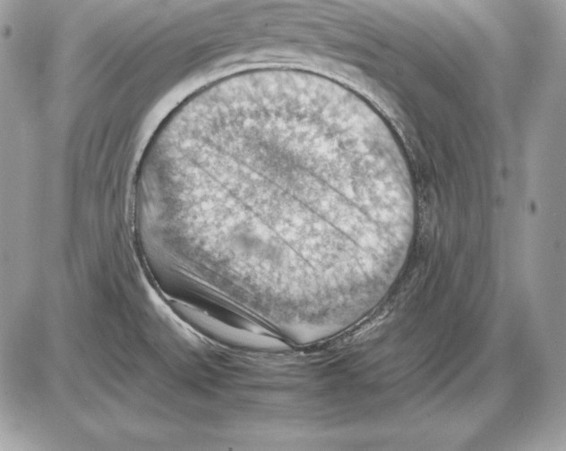 X0000085751527200704131657