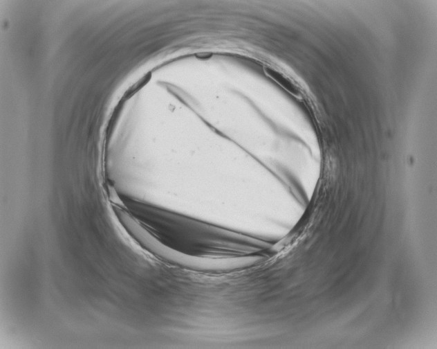 X0000085751528200704131657