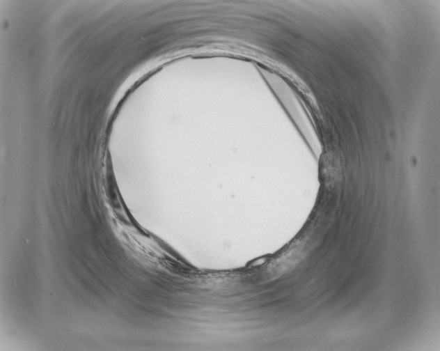 X0000085751530200704131657