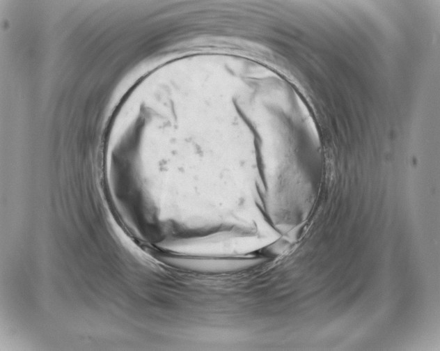 X0000085751531200704131657