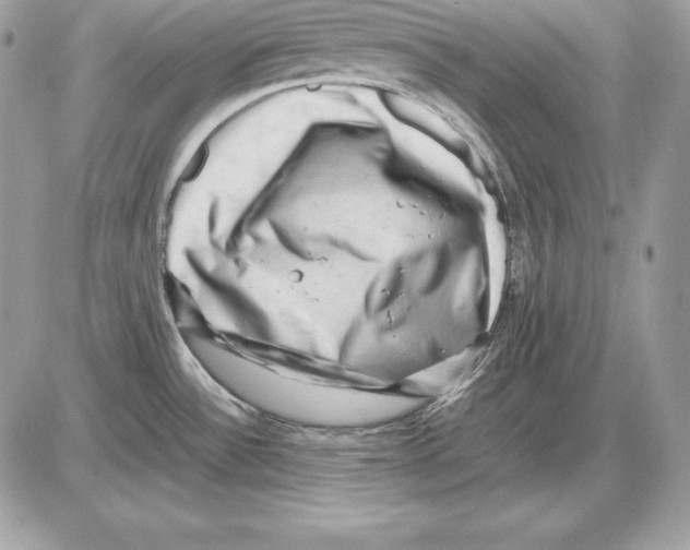 X0000085751532200704131657