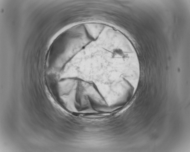 X0000085751534200704131657