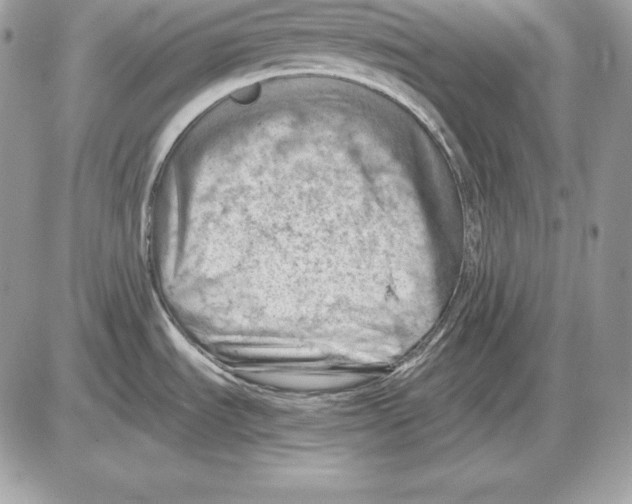 X0000085751535200704131657