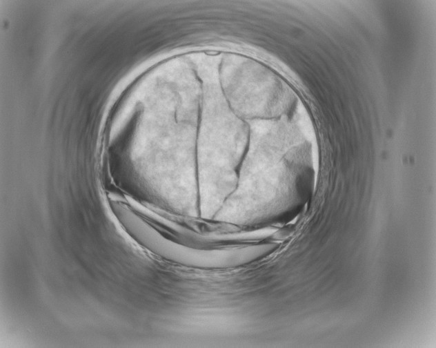 X0000085751536200704131657