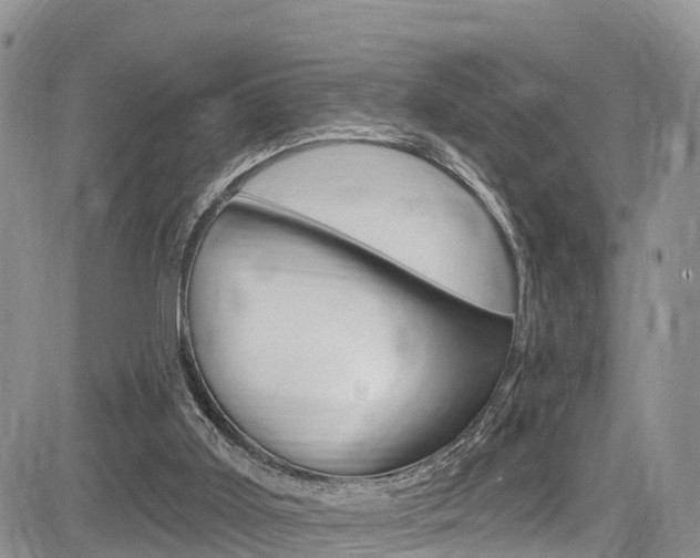 X0000085760011200703160915