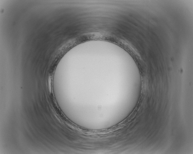 X0000085760022200703160915