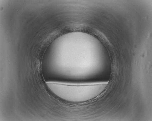 X0000085760025200703160915