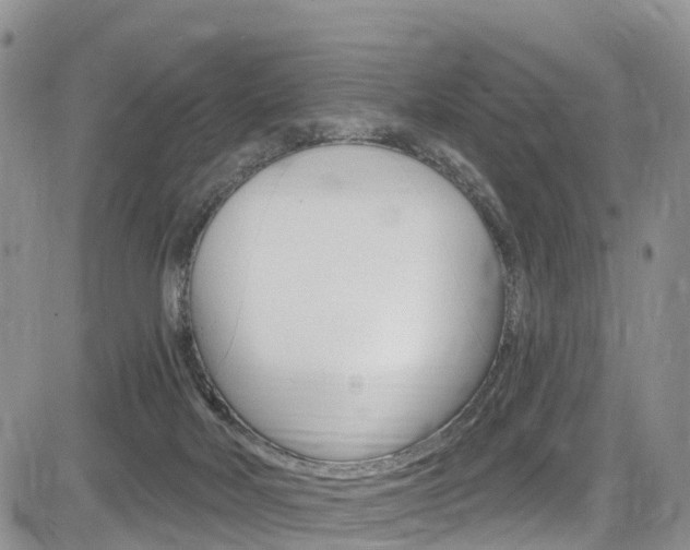 X0000085760026200703160915