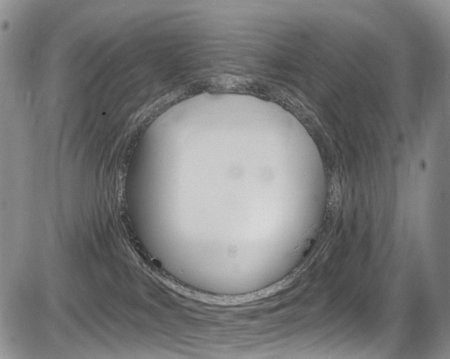 X0000085760043200703160914