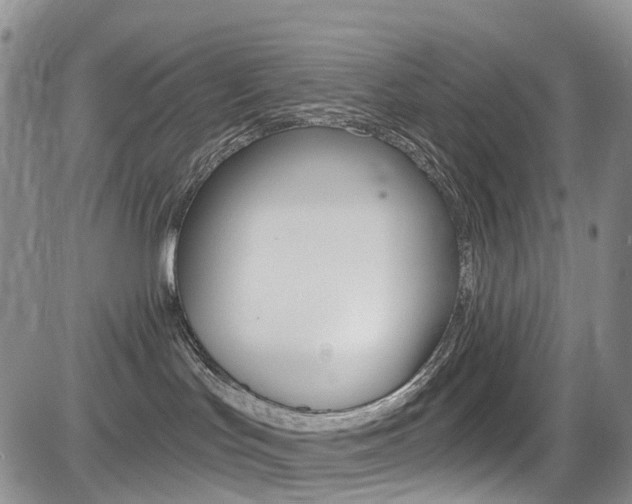 X0000085760047200703160914