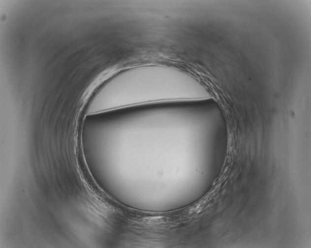 X0000085760054200703160914