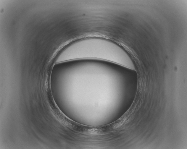 X0000085760064200703160914