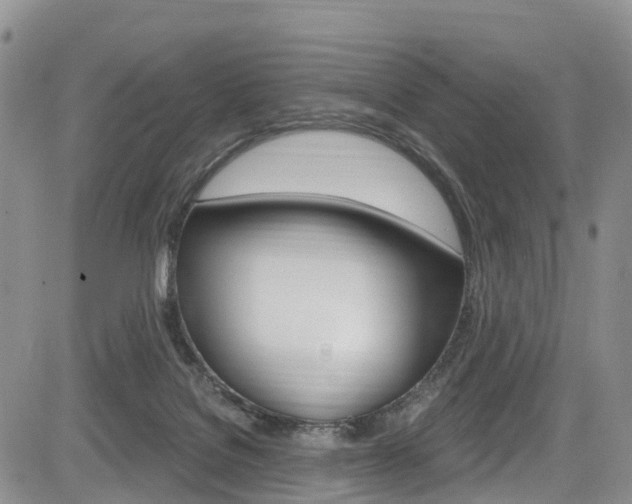 X0000085760076200703160914
