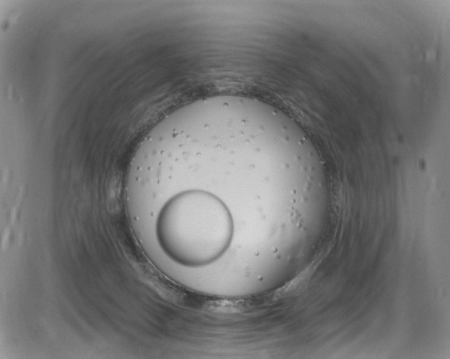 X0000085760082200703160914