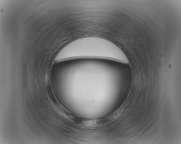 X0000085760084200703160914