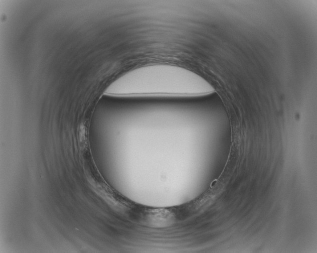 X0000085760087200703160914