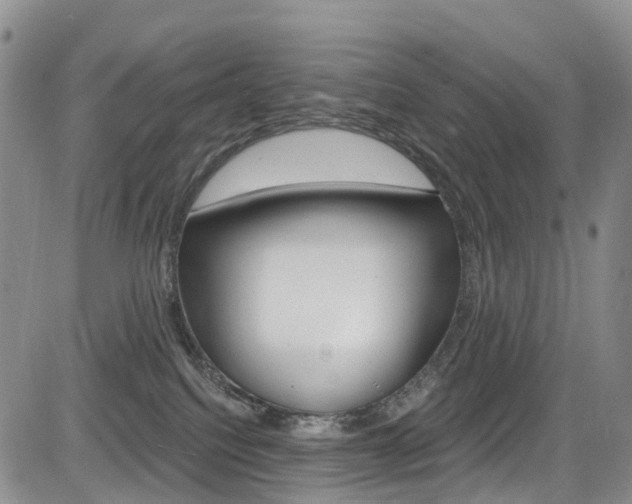 X0000085760088200703160914
