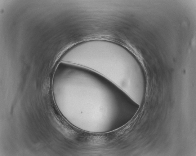 X0000085760107200703160913