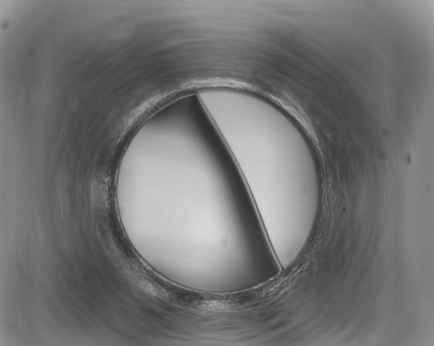 X0000085760111200703160913