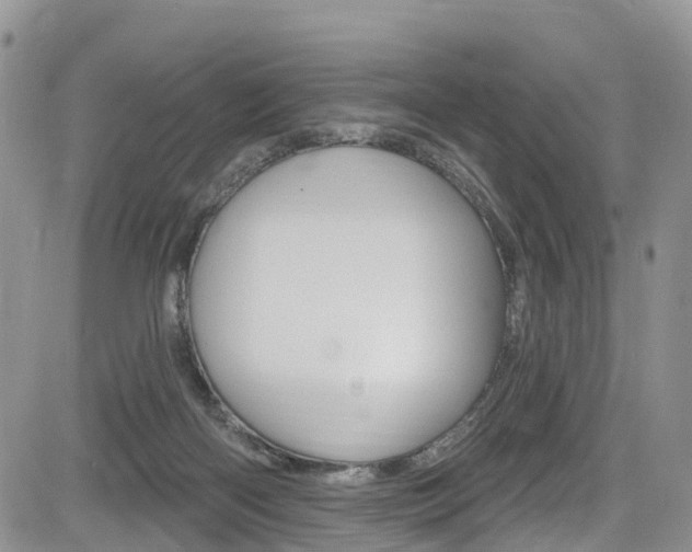 X0000085760122200703160913