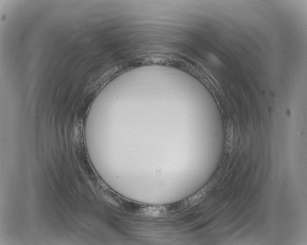X0000085760126200703160913