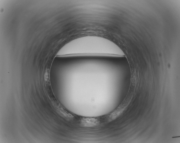 X0000085760137200703160913