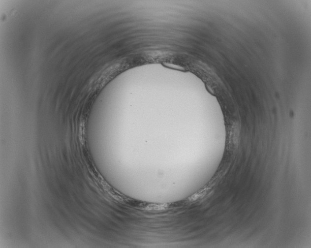X0000085760138200703160913
