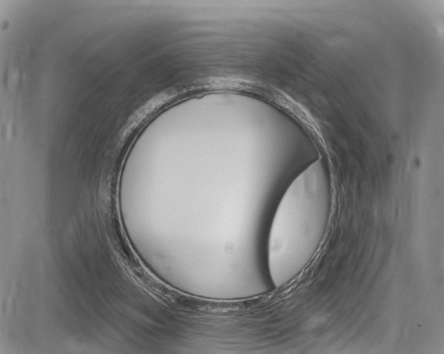X0000085760155200703160912