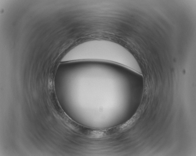 X0000085760176200703160913