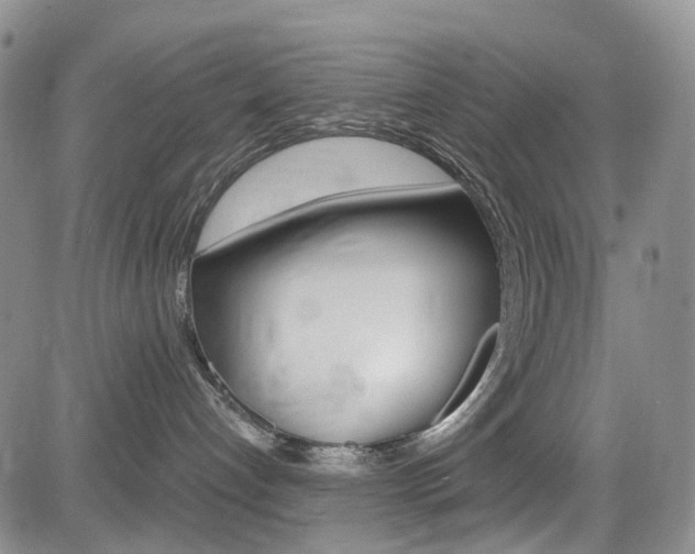 X0000085760192200703160913