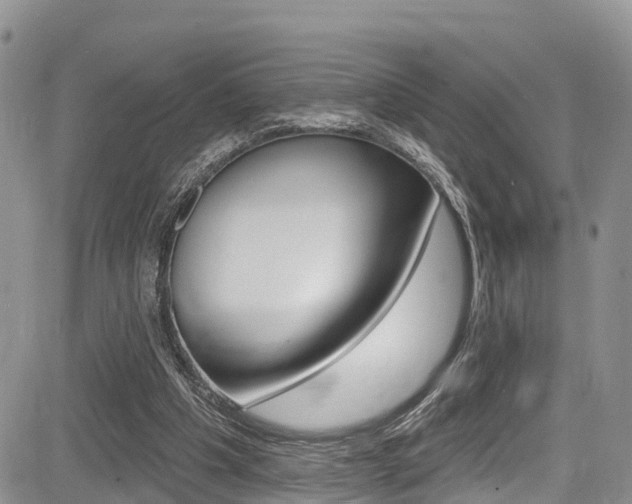 X0000085760201200703160912