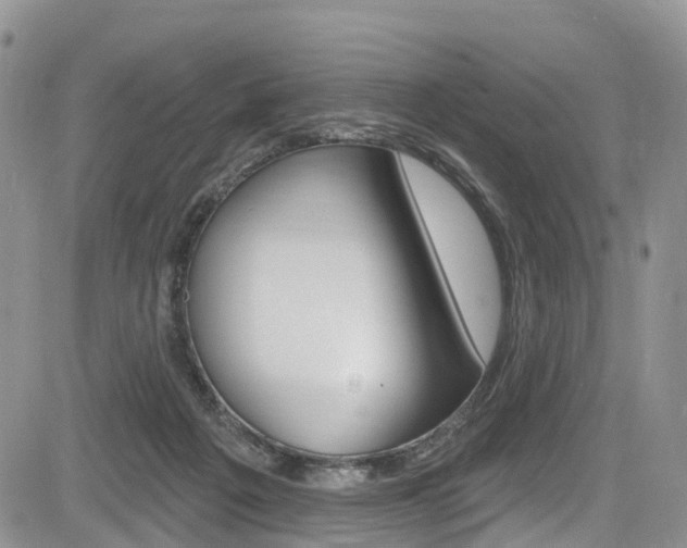 X0000085760217200703160912