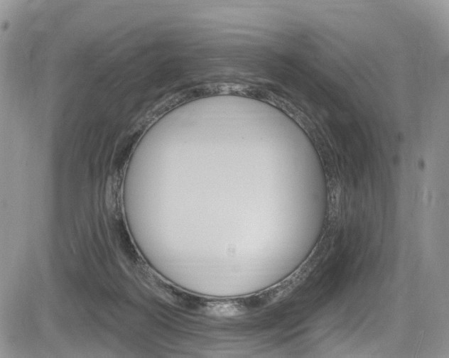 X0000085760218200703160912