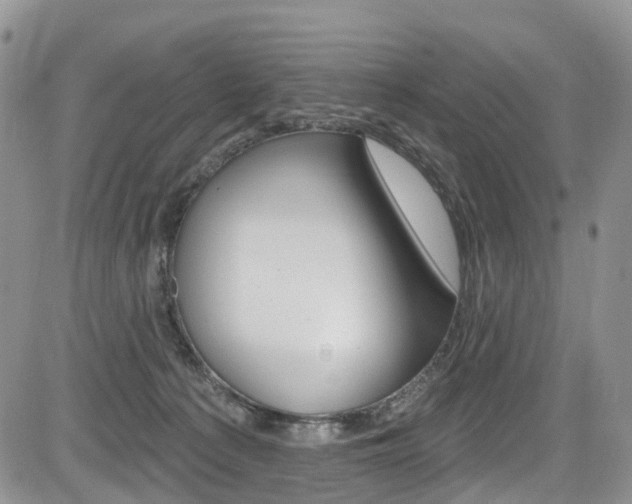X0000085760225200703160911
